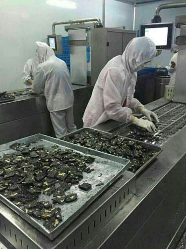 24小时监控无菌生产线